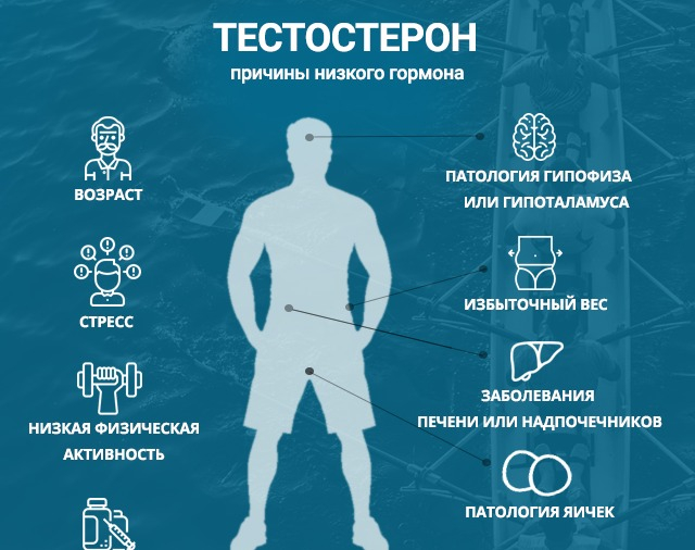 свободный тестостерон норма у женщин